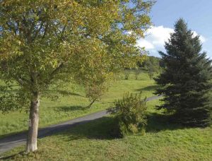Das Mucherwiesental in Selhof. Von hier führen Wanderweg zum Rheinsteig und in das Siebengebirge